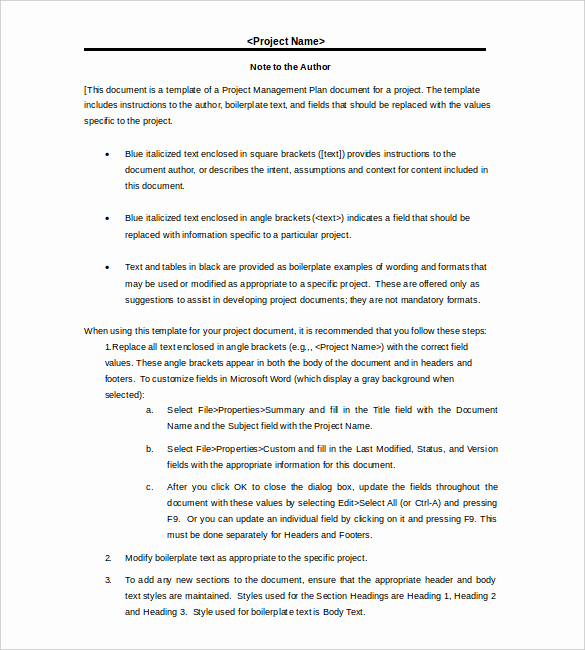 Project Plan Template Word Best Of 17 Project Template Doc Pdf Ppt
