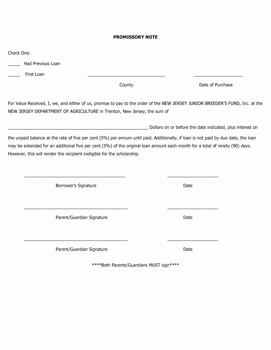 Promissory Note Template Free Lovely 45 Free Promissory Note Templates &amp; forms [word &amp; Pdf]
