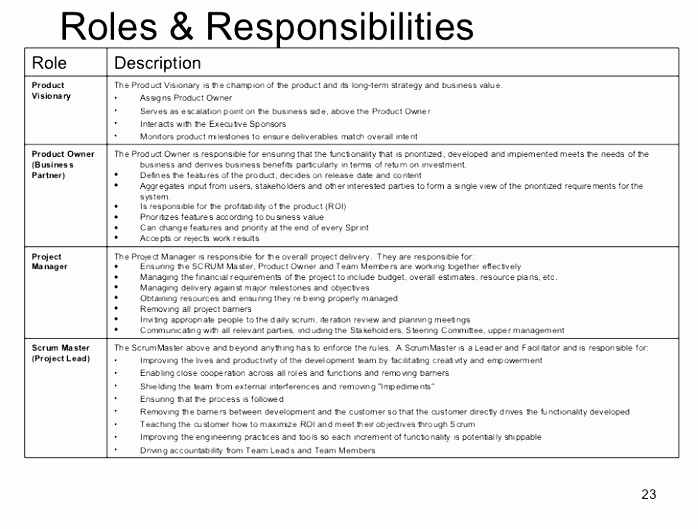 Roles and Responsibilities Template New 6 Project Team Roles and Responsibilities Template Repez
