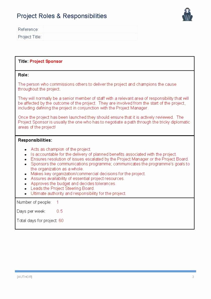 Roles and Responsibilities Template New Project Roles and Responsibilities Template Ape