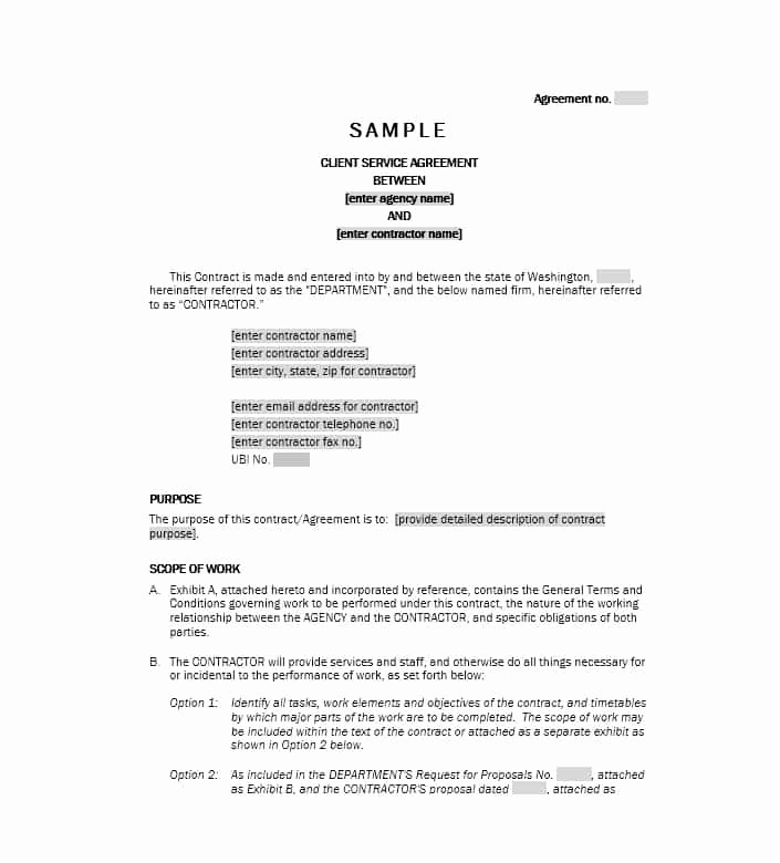 Sample Contract for Services New 50 Professional Service Agreement Templates &amp; Contracts