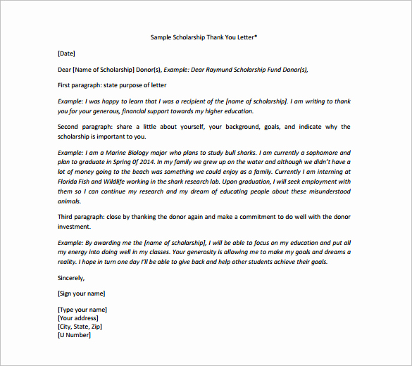 Scholarship Thank You Letters Sample Elegant Scholarship Thank You Letter – 8 Free Word Excel Pdf