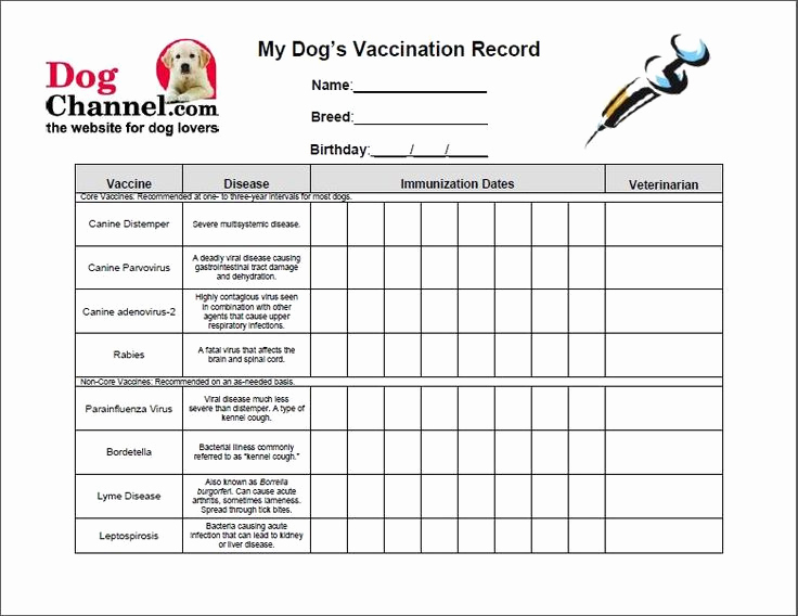 Service Dog Certificate Template New Best 25 Dog Vaccinations Ideas On Pinterest