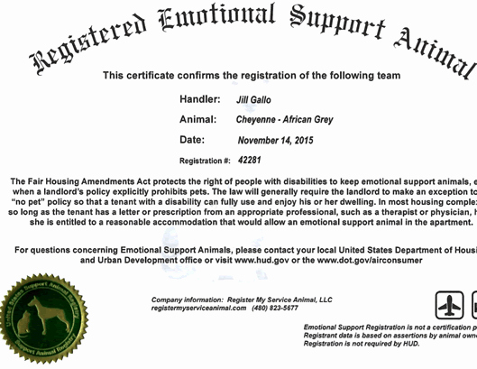 Service Dog Certificate Template Unique Emotional Support or Service Animals Fair Housing