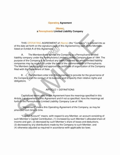Simple Llc Operating Agreement Luxury 14 Llc Operating Agreement Examples Pdf Doc
