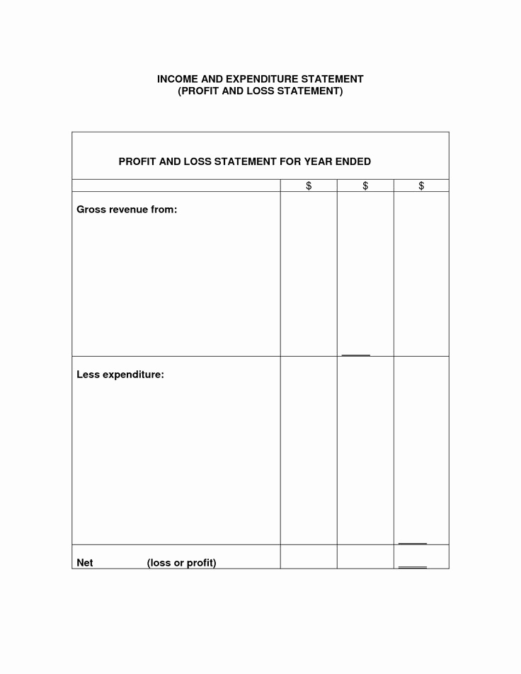 Simple Profit and Loss Statements New Printable Profit and Loss Template