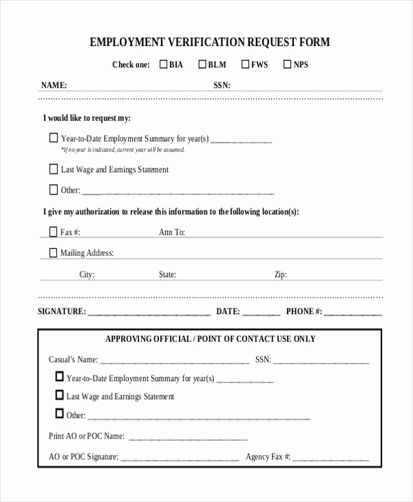 Standard Verification Of Employment form Awesome Sample Employment forms In Pdf 34 Free Documents In