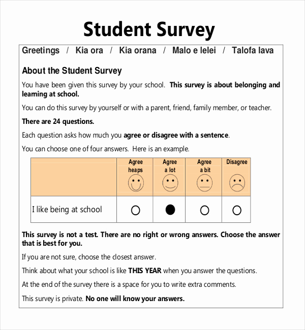 Survey Questions for Students New Free Pdfs Example Template for Inclusive Practices Student