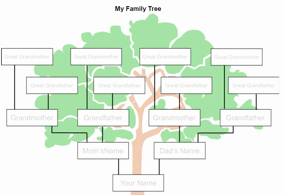 Template for Family Tree Best Of Family Tree Template