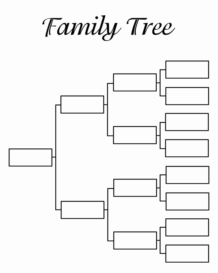 Template for Family Tree Elegant 17 Best Ideas About Family Tree Templates On Pinterest