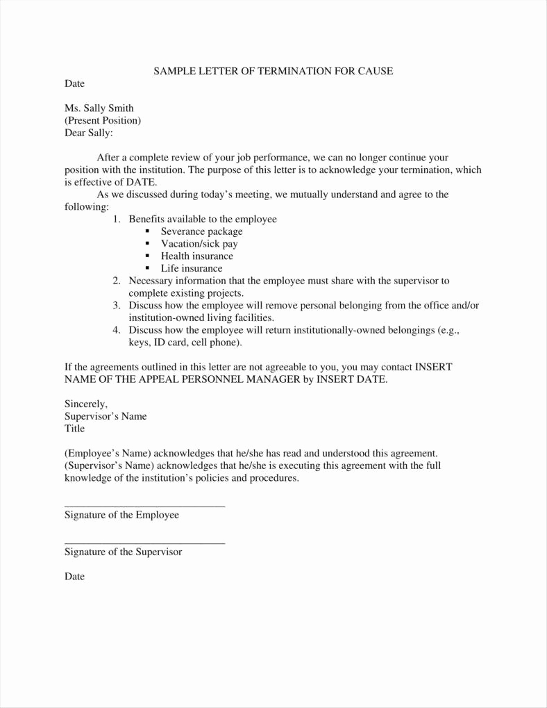 Termination Of Employment Letter Best Of 9 Pany Termination Letters