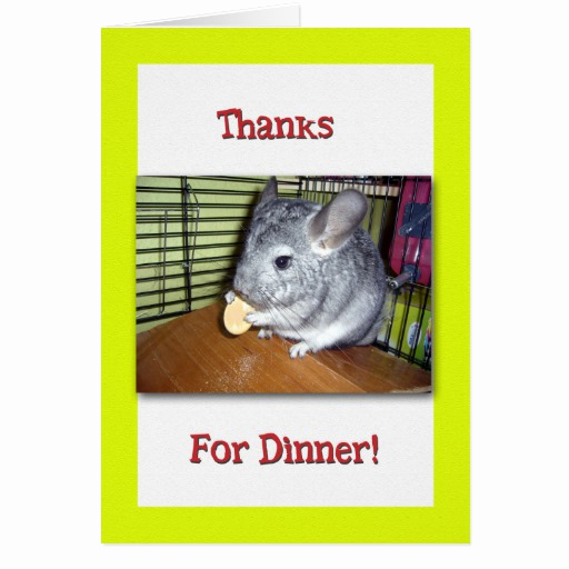 Thank You for Dinner Inspirational Thank You for Dinner Chinchilla Eating Greeting Card