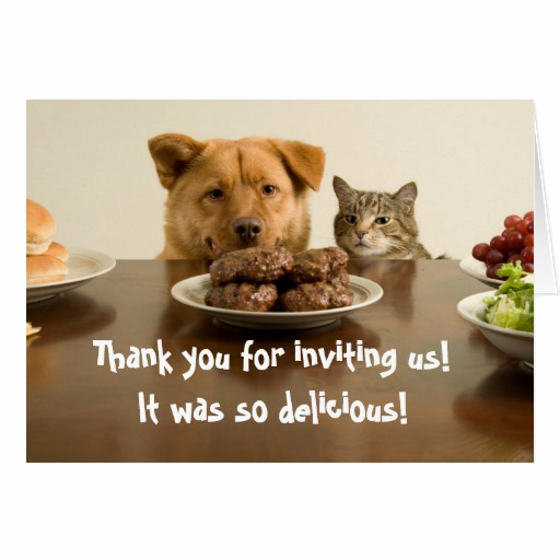 Thank You for Dinner Luxury Funny Dog and Cat Thank You for the Dinner Card