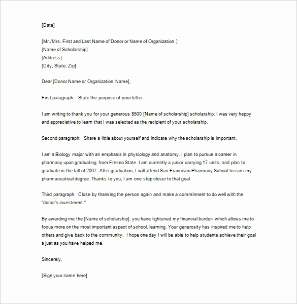 Thank You Letter Business Inspirational Sample Business Thank You Letter – 12 Free Word Excel