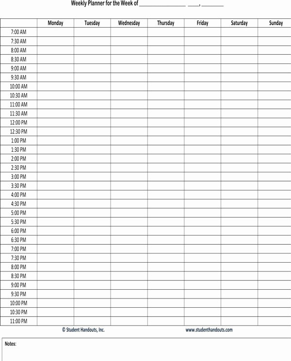 Weekly Hourly Schedule Template Beautiful Hourly Planner Pdf