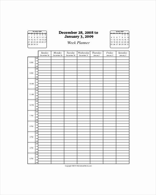 Weekly Hourly Schedule Template Lovely 5 Hourly Planner Templates Free Download