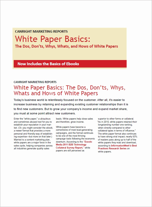 White Paper Examples Pdf New 13 White Paper Templates – Pdf Word